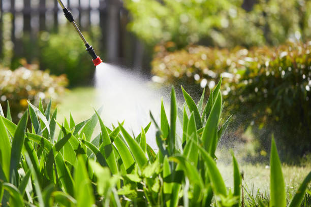 24/7 Emergency Cockroach Control experts in Springboro, OH
